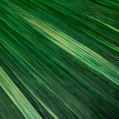 Taca na biurko Harvard L Eichholtz