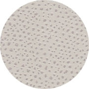 POJEMNIK NA KARTECZKI DO NOTOWANIA - 12,5X12,5X6,5CM - GIOBAGNARA - MY HONEY HOME