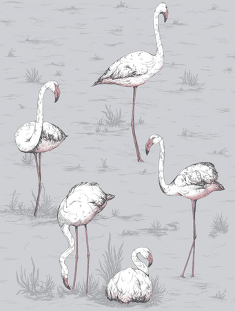 Tapeta Icons Flamingos Cole&Son - My Honey Home