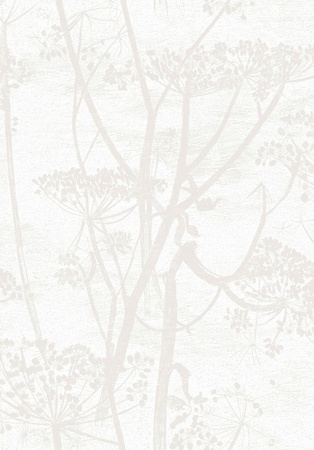 Tapeta Contemporary Collection Cow Parsley Cole&Son - My Honey Home