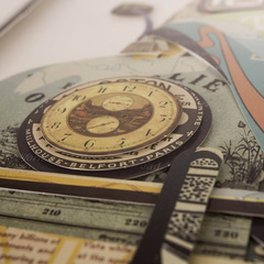 Obraz 3D Beetle 104-9031