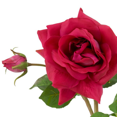 Bukiet róż real touch 72 szt/3 odmiany Eichholtz