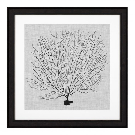 Grafika Shadow Sea Fans zestaw 4 szt. Eichholtz - My Honey Home