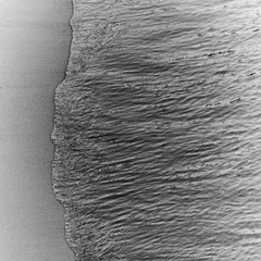 Grafika Philippe Vogelenzang - Cala vincente Eichholtz