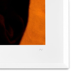 Grafika Philippe Vogelenzang - Vitamin oral Eichholtz