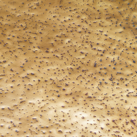 Konsola Drayton Eichholtz