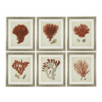 Grafika Antique red corais zestaw 6 szt. Eichholtz - My Honey Home