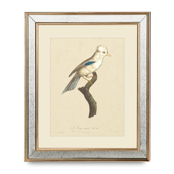 GRAFIKA PTAK TROPIKALNY - 50 X 60CM - BROOKSPACE LASCELLES - MY HONEY HOME