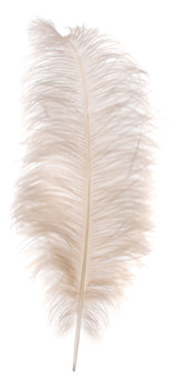 DEKORACJA ŚWIĄTECZNA STRUSIE PIÓRO - 60/65cm - SHISHI – MY HONEY HOME