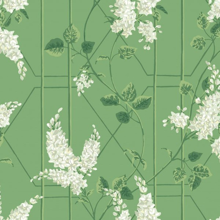 Tapeta Botanical Botanica Wisteria Cole&Son - My Honey Home