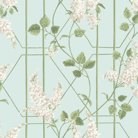 Tapeta Botanical Botanica Wisteria Cole&Son - My Honey Home