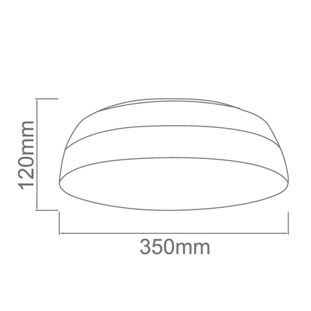 Plafon Putto - My Honey Home