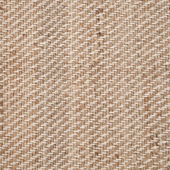 Carpet Vieste 300 x 400 cm
