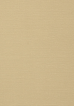 Tapeta TEXTURE RESOURCE 6 TALUK SISAL  Wide Width - Thibaut - My Honey Home