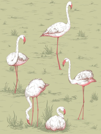 Tapeta Icons Flamingos Cole&Son - My Honey Home