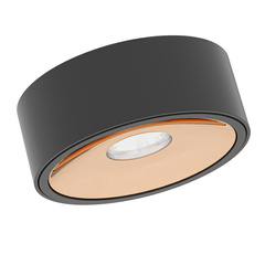 Oprawa natynkowaNeo Nero Slim LED / Ufo Gold