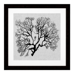 Grafika Shadow Sea Fans zestaw 4 szt. Eichholtz - My Honey Home