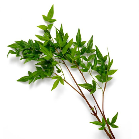 Wiązka delikatnych liści 36 szt. Eichholtz