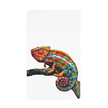 Ręcznik Plażowy Graccioza Camaleon 100x180 cm Multicolor