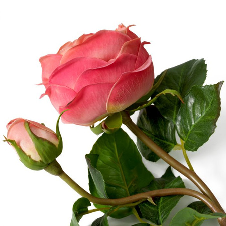 Bukiet róż real touch 72 szt/3 odmiany Eichholtz