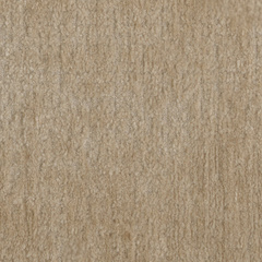 Przewodnicząca Sylva Eichholtz