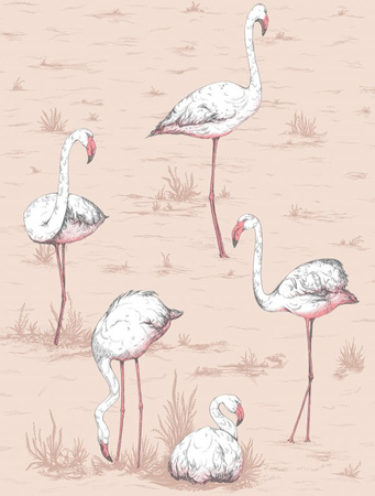 Tapeta Icons Flamingos Cole&Son - My Honey Home