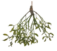 DEKORACJA ŚWIĄTECZNA JEMIOŁA - 40 CM - SHISHI – MY HONEY HOME