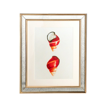 GRAFIKA MUSZLE - 50 X 60 CM - BROOKSPACE LASCELLES - MY HONEY HOME