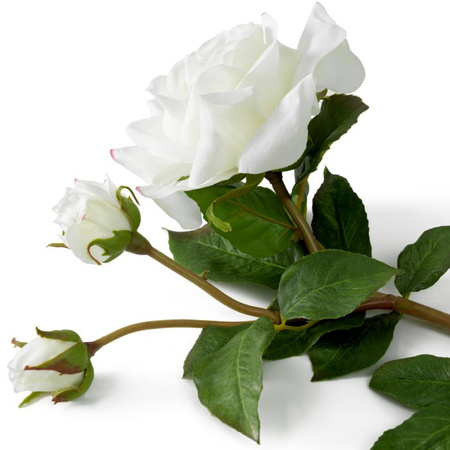 Bukiet róż real touch 72 szt/2 odmiany Eichholtz