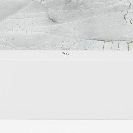 Grafika Rift Valley by Vanna Lam zestaw 2 szt Eichholtz