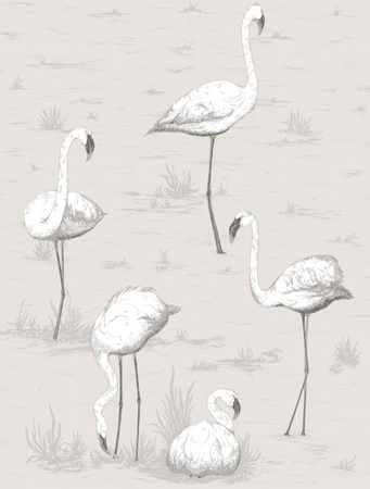 Tapeta Contemporary Collection Flamingos Cole&Son - My Honey Home