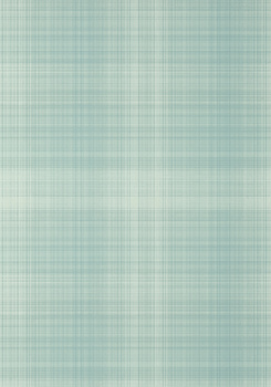 Tapeta TEXTURE RESOURCE 7 INVERNESS - Thibaut - My Honey Home