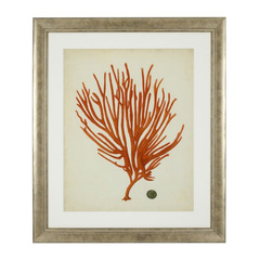 Grafika Antique red corais zestaw 6 szt. Eichholtz - My Honey Home