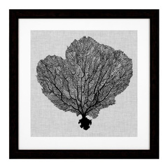 Grafika Shadow Sea Fans zestaw 4 szt. Eichholtz - My Honey Home