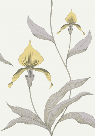 Tapeta Contemporary Collection Orchid Cole&Son - My Honey Home