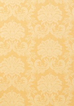 Tapeta DAMASK RESOURCE 3 SYMPHONY DAMASK - Thibaut - My Honey Home