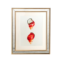 GRAFIKA MUSZLE - 50 X 60 CM - BROOKSPACE LASCELLES - MY HONEY HOME