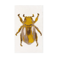 Dywan Kąpielowy Graccioza Beatle 50x80 cm Multicolor Antybakteryjny