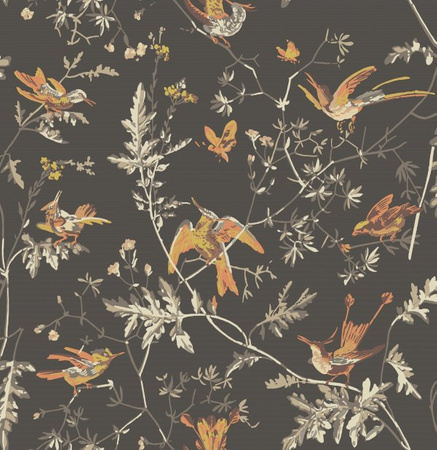 Tapeta Icons Hummingbirds Cole&Son - My Honey Home