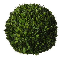 DEKORACJA KULA BUKSZPANOWA - 30CM - SHISHI - MY HONEY HOME