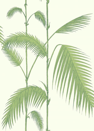 Tapeta Contemporary Collection Palm Leaves Cole&Son - My Honey Home