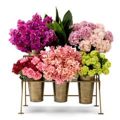 Regał ekspozycyjny Eichholtz Maison des Fleurs