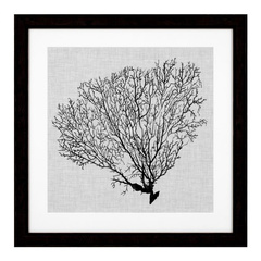 Grafika Shadow Sea Fans zestaw 4 szt. Eichholtz - My Honey Home