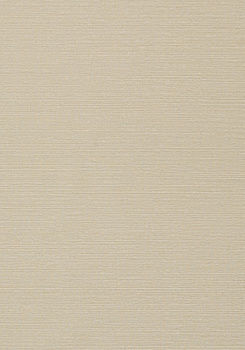 Tapeta TEXTURE RESOURCE 6 TALUK SISAL  Wide Width - Thibaut - My Honey Home