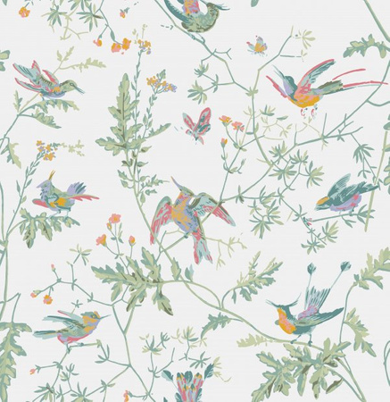 Tapeta Icons Hummingbirds Cole&Son - My Honey Home