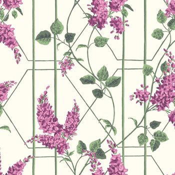 Tapeta Botanical Botanica Wisteria Cole&Son - My Honey Home