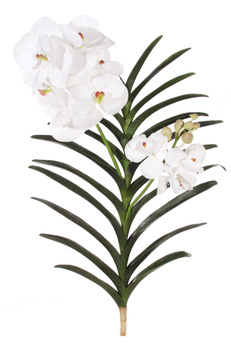 DEKORACJA STORCZYK VANDA - BIAŁY -  SHISHI - MY HONEY HOME