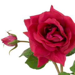 Bukiet róż real touch 72 szt/3 odmiany Eichholtz