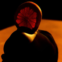 Grafika Philippe Vogelenzang - Vitamin oral Eichholtz