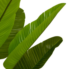 Sztuczna roślina Strelitzia M Eichholtz